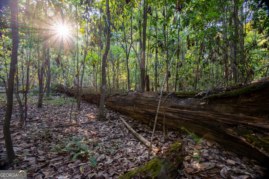 0 Magnolia Drive, McIntyre, GA 31054 - Image #2