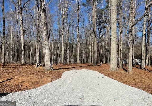 0 Chappell Road #LOT 2, Fayetteville, GA 30215 - Image #2