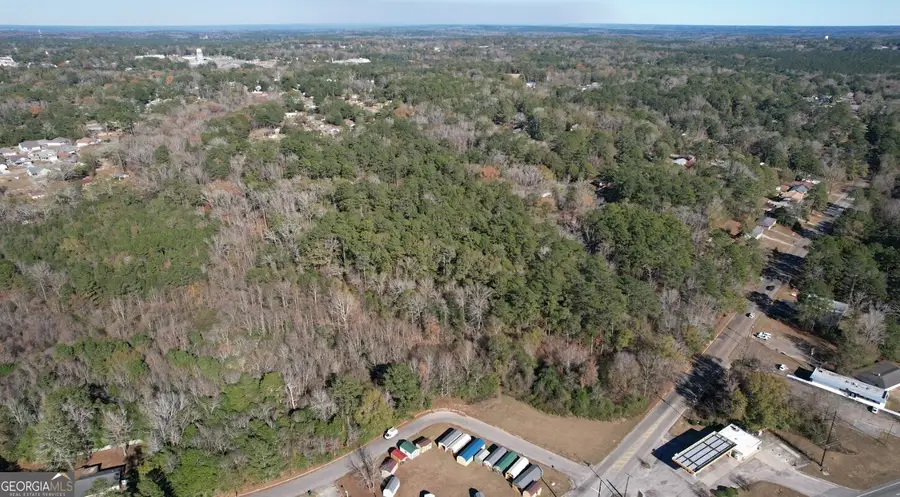 0 Deese Road #TRACT A, Ozark, AL 36360 - Image #3