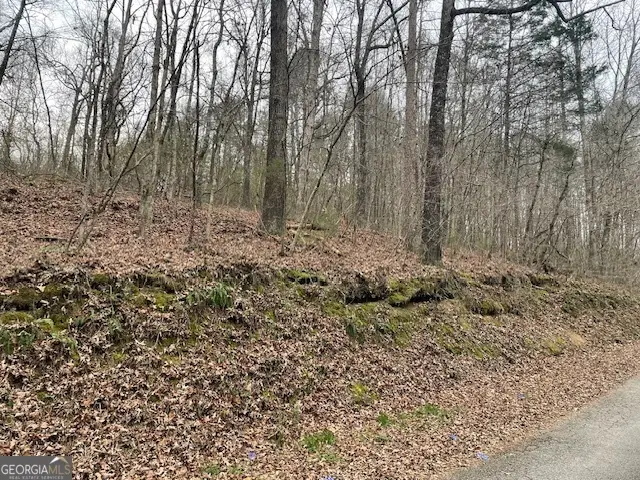 0 Wooten Lane, Chickamauga, GA 30707 - Image #3