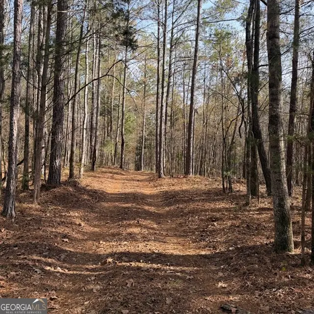 +/- 198 ACRES Dennis Creek Road, Talbotton, GA 31827 - Image #1