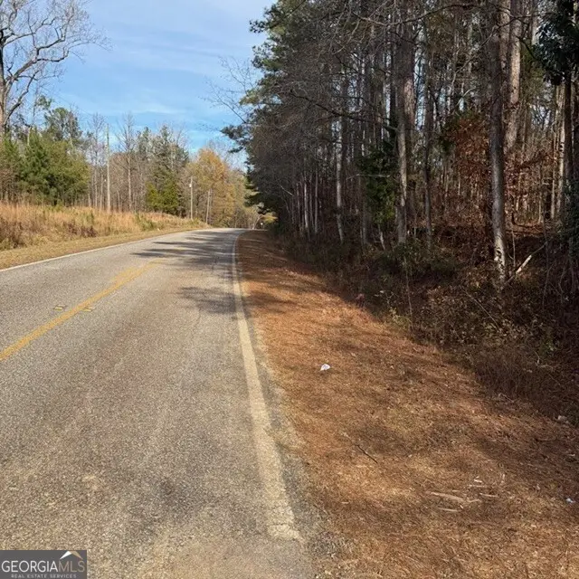+/- 198 ACRES Dennis Creek Road, Talbotton, GA 31827 - Image #2