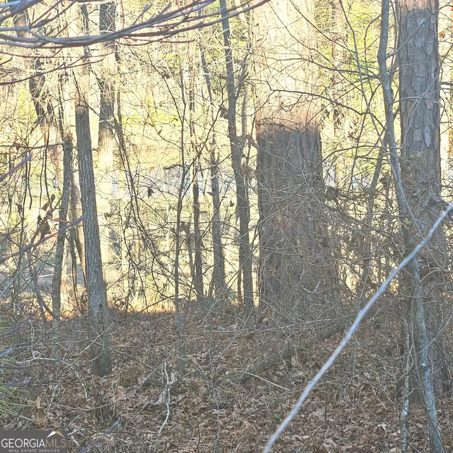 615 Birkdale Drive, Fairburn, GA 30213 - Image #3