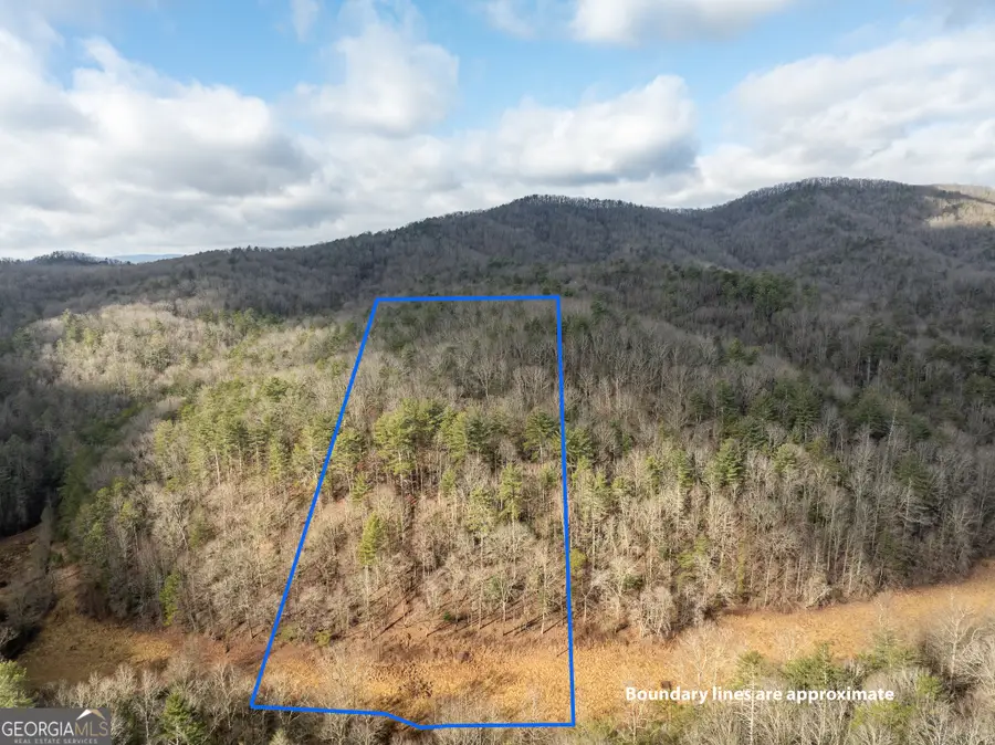 TR 3B Wolf Pen Gap Road, Ellijay, GA 30540 - Image #3