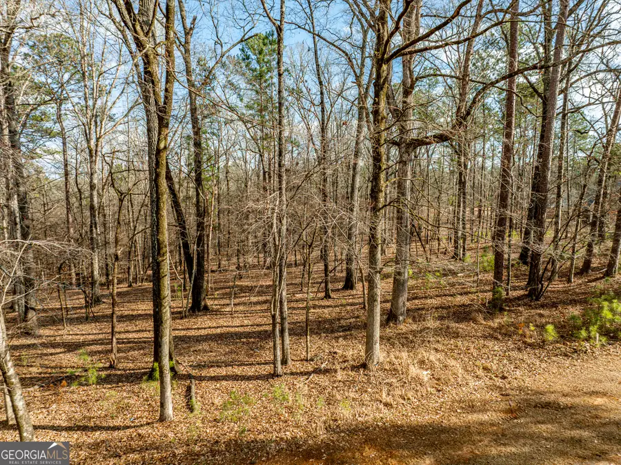 1021 Shadow Creek Way, Greensboro, GA 30642 - Image #3