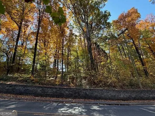 0 Lakemont Drive, Dalton, GA 30720 - Image #2