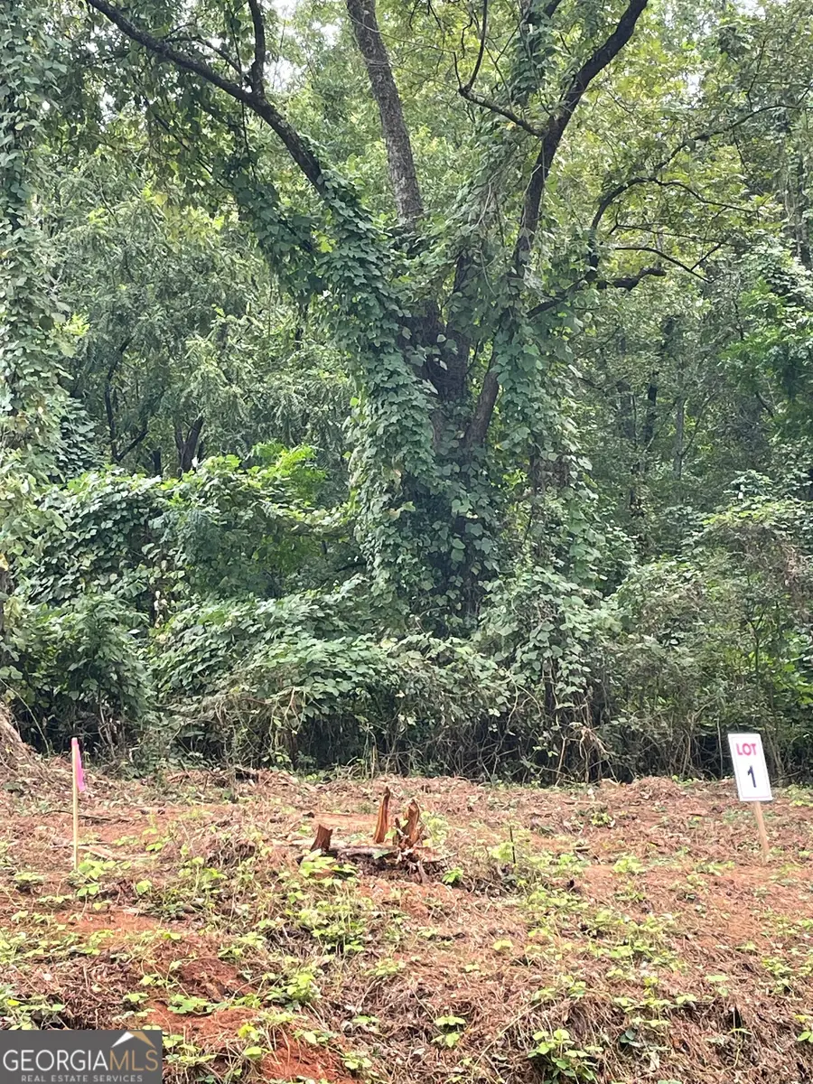 310 Hightower Trail, Oxford, GA 30054 - Image #2