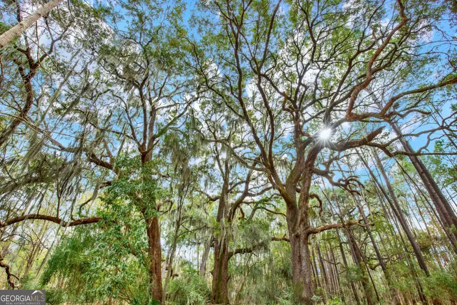 181-199 Burton Road, Savannah, GA 31405 - #3