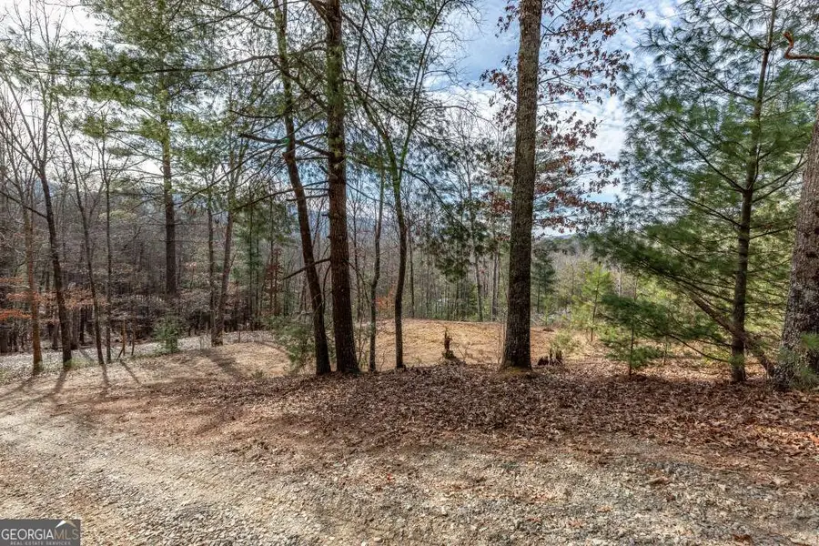0.83 AC Atkins Trail, Blairsville, GA 30512 - Image #3