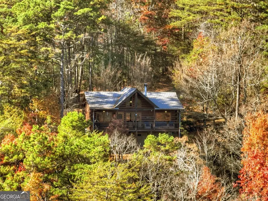 146 Rosiey Lane, Blue Ridge, GA 30513 - #3