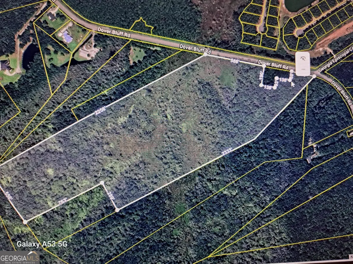 53+ ACRES Dover Bluff Road, Waverly, GA 31565 - Image #1