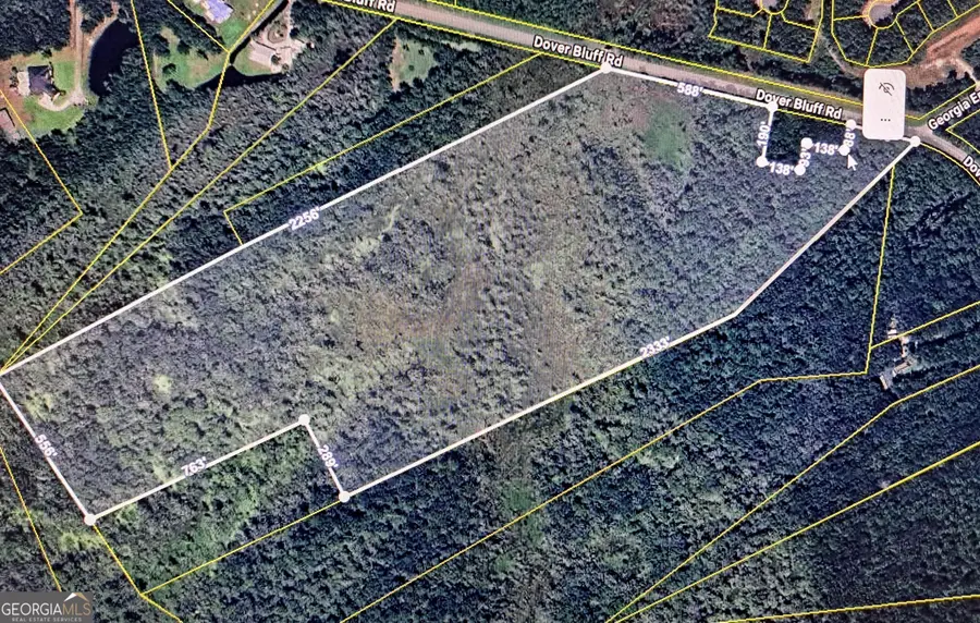 53+ ACRES Dover Bluff Road, Waverly, GA 31565 - Image #2
