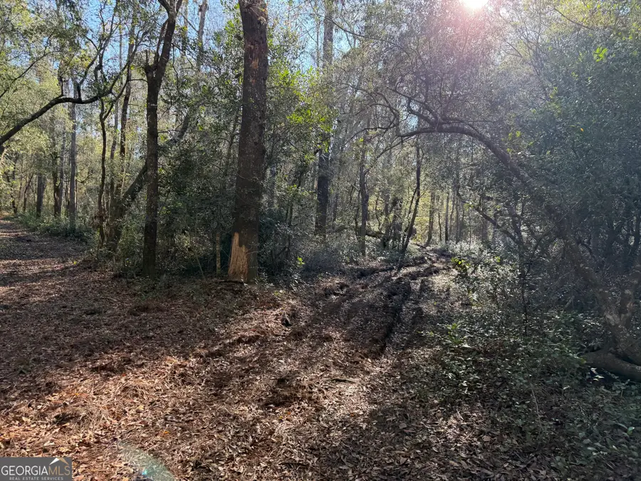 3833 Old Louisville Road, Guyton, GA 31312 - Image #2