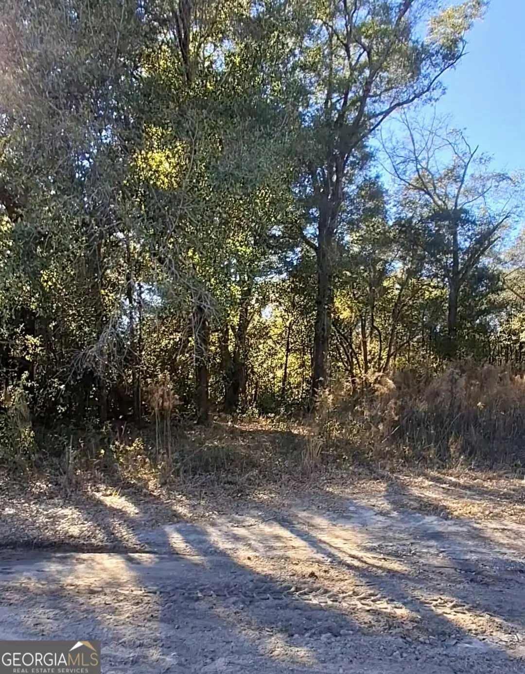 0 Big Oak Lane, Newton, GA 39870 - Image #1