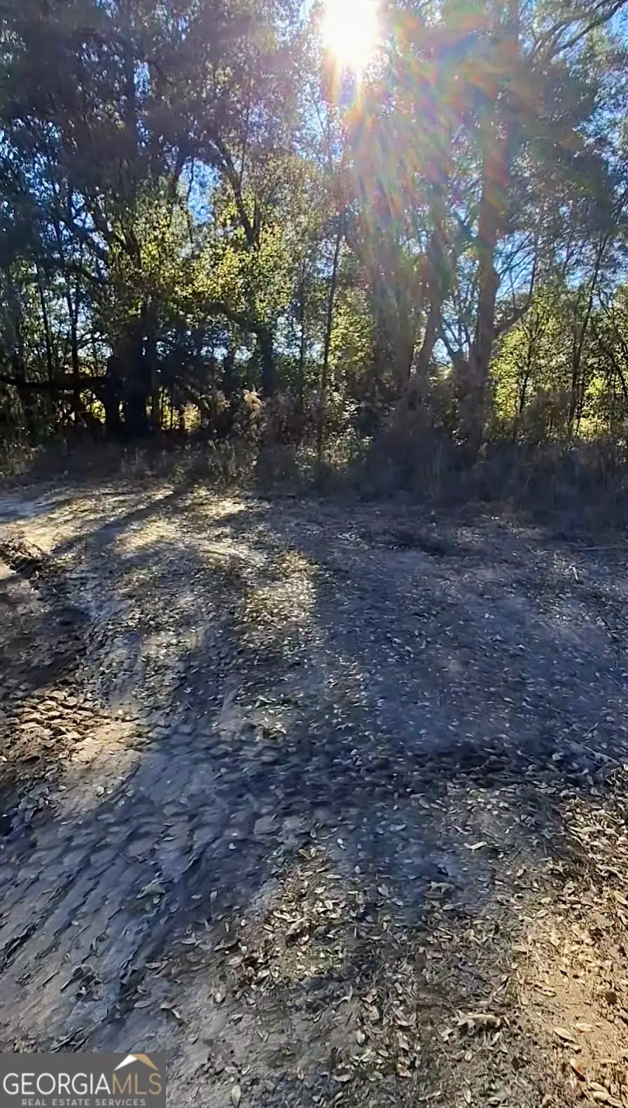 0 Big Oak Lane, Newton, GA 39870 - Image #3