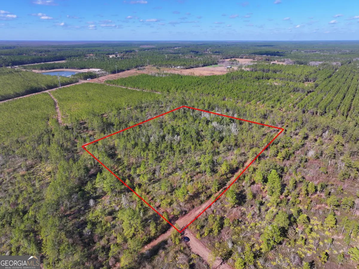 0 Carter Community Road, Folkston, GA 31537 - Image #1