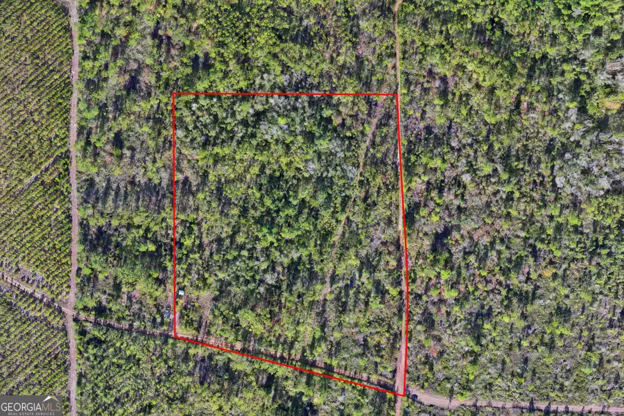 0 Carter Community Road, Folkston, GA 31537 - Image #3