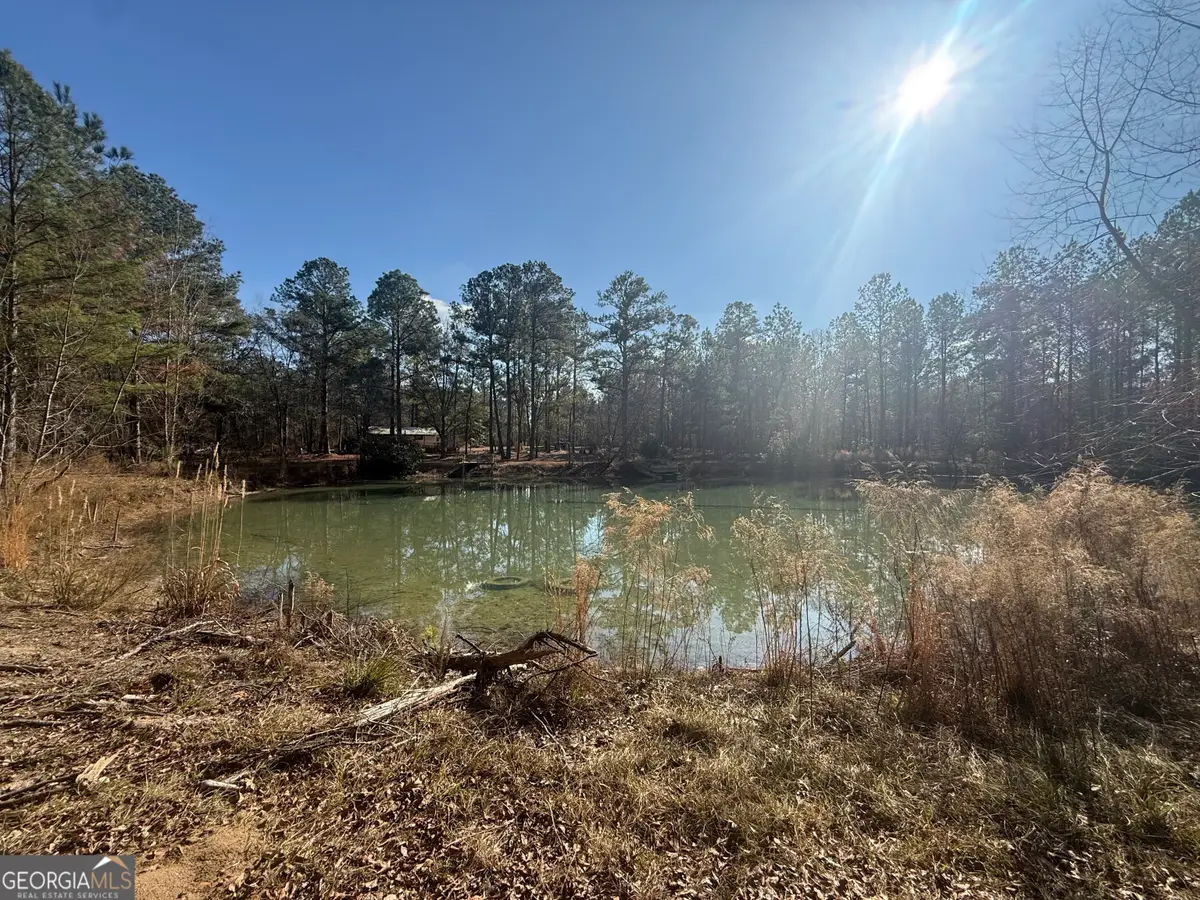 158 Union Grove Church Road, Wrightsville, GA 31096 - Image #1