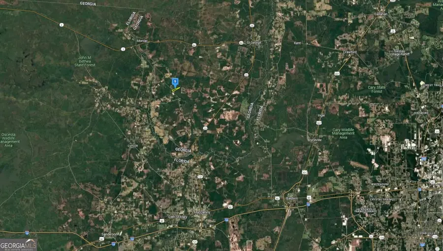 6400 Old Moniac Road, Saint George, GA 31562 - Image #2