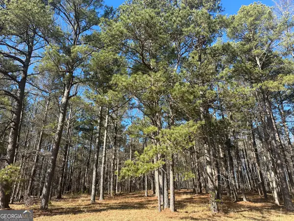 11.814 ACRES Busbin Road, Fayetteville, GA 30215