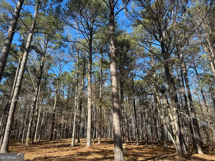 11.814 ACRES Busbin Road, Fayetteville, GA 30215 - Image #2