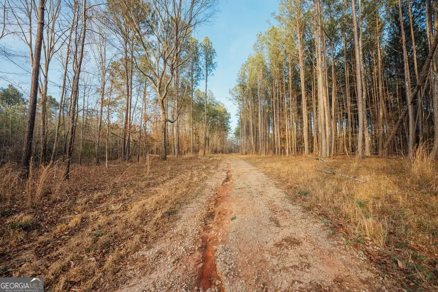 28.61 ACRES Sandy Creek Road, Madison, GA 30650 - Image #3