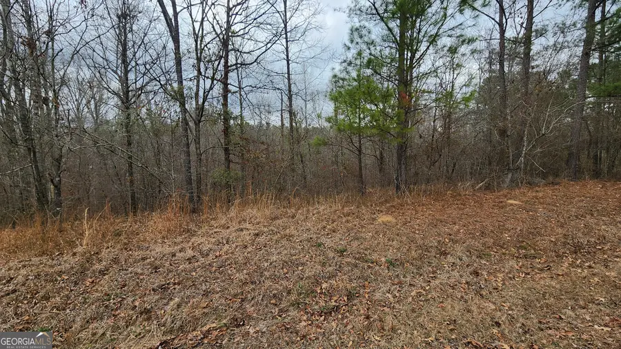 0 Ethridge Place, Gray, GA 31032 - #2