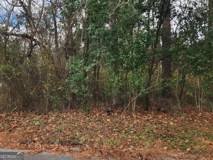 0 Champion Drive, Macon, GA 31211 - #2