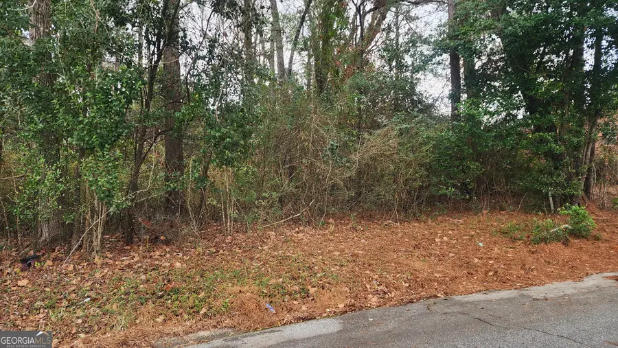 0 Champion Drive, Macon, GA 31211 - #3