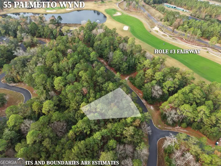 LOT 55 Palmetto Wynd, Waverly, GA 31565 - #3
