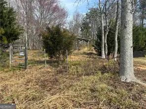 6315 Spout Springs Road, Flowery Branch, GA 30542 - #1