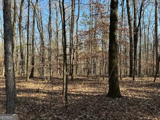 331 Worsham Road, Culloden, GA 31016 - Image #2