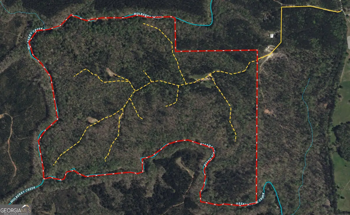 226.04+/-AC Kingsboro Road, Hamilton, GA 31811 - Image #1