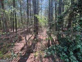 0 Troupe Smith Road Sw, Conyers, GA 30094 - Image #1