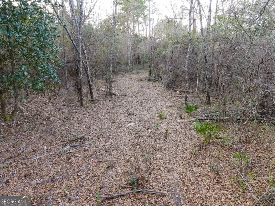 0 Floyd Road #LOT 9, Pembroke, GA 31321 - Image #2