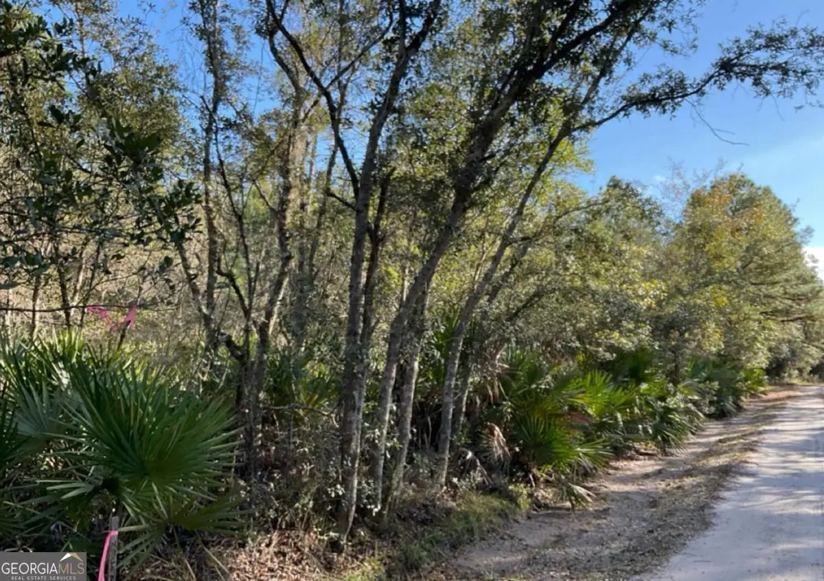 0 Deerwood Creek Estates Road, Waverly, GA 31565 - #1