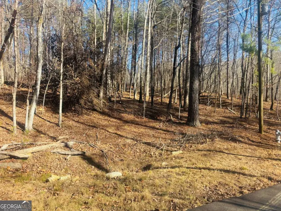 111 Fox Oak Court, Waleska, GA 30183 - Image #2