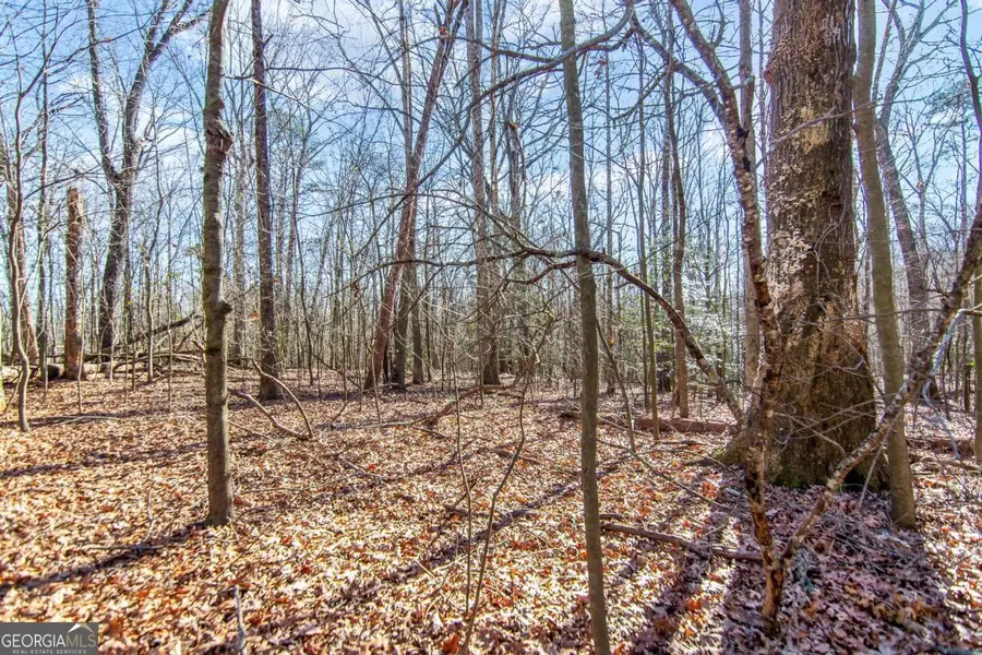 6 ACRES Flat Creek Road, Ellijay, GA 30540 - Image #3