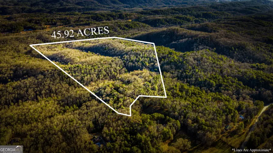 178 Arp Road, Mineral Bluff, GA 30559 - #2