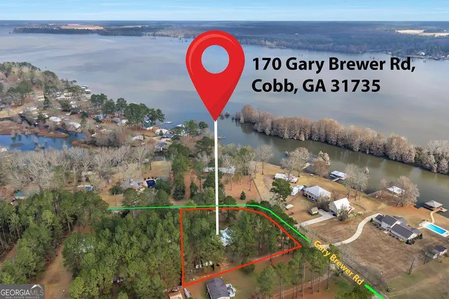 170 Gary Brewer Road, Cobb, GA 31735 - Image #2