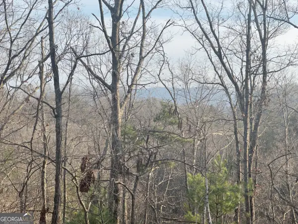 TRACT 1 Century Lane, Blue Ridge, GA 30513