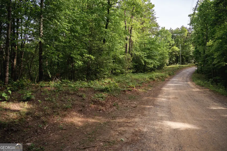 TRACT 1 Century Lane, Blue Ridge, GA 30513 - Image #3