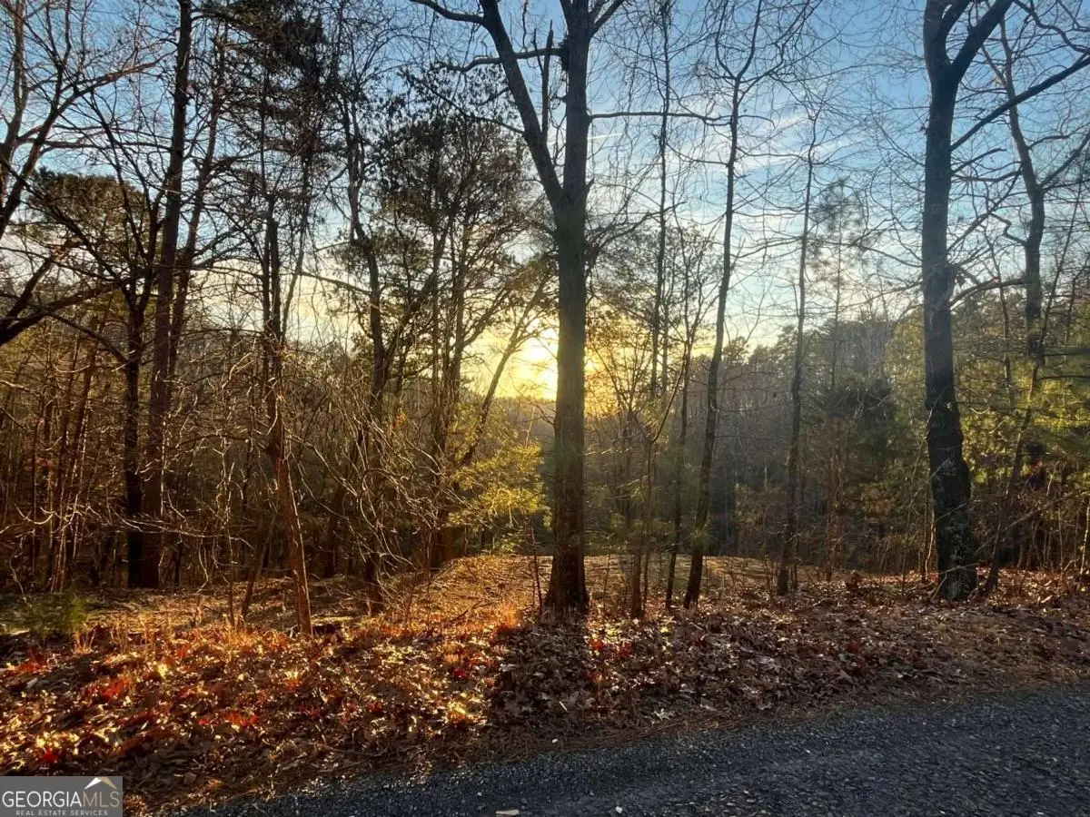 331 Paladin Drive Ne, Ranger, GA 30734 - Image #1