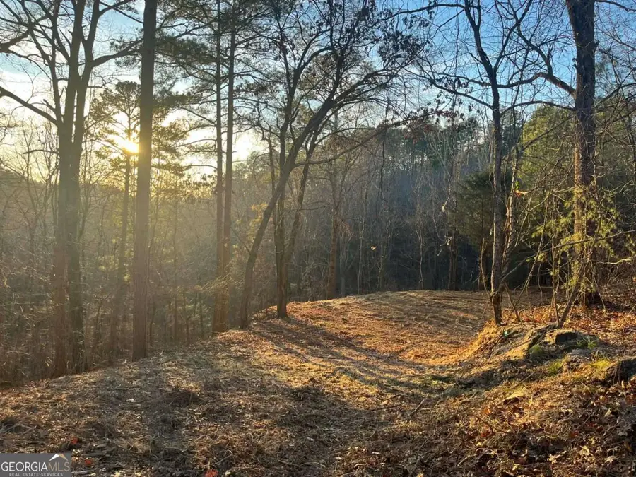 331 Paladin Drive Ne, Ranger, GA 30734 - Image #2