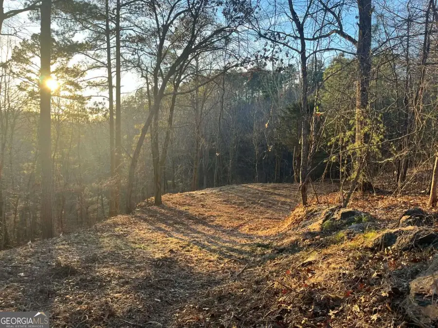 331 Paladin Drive Ne, Ranger, GA 30734 - Image #3