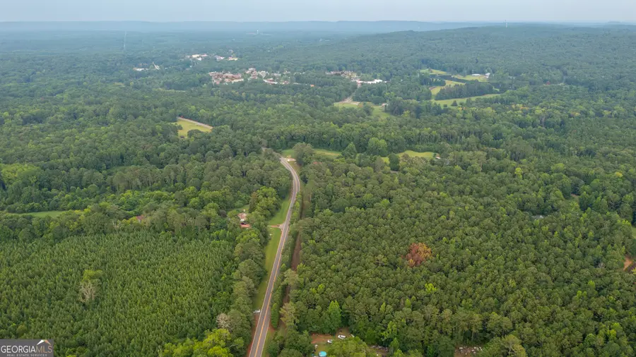 0 Durand Highway, Warm Springs, GA 31830 - Image #2