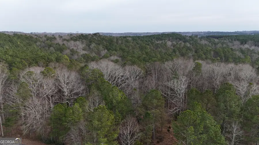 346 Clayton Chester Road, Dawsonville, GA 30534 - Image #3