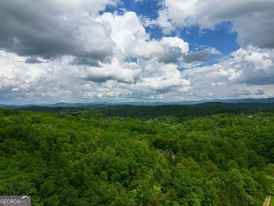 TRACT 2 Century Lane, Blue Ridge, GA 30513 - Image #2