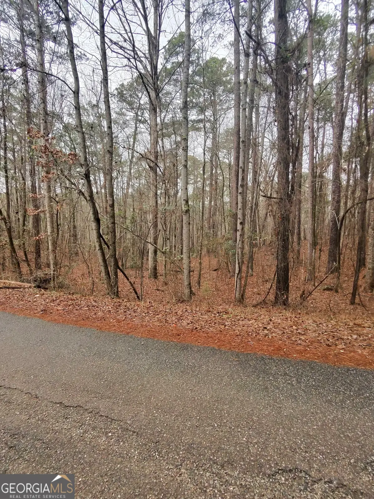 0 Goldeneye Court, Monticello, GA 31064 - Image #1