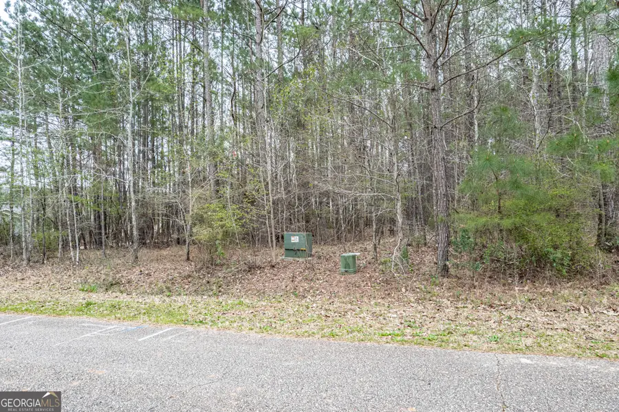 203 Hidden Lakes Drive, Gray, GA 31032 - Image #2